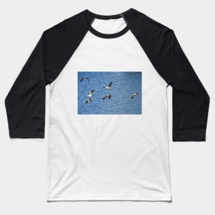 Formation Flying Baseball T-Shirt